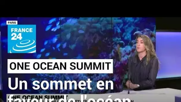 One Ocean Summit : un sommet pour mobiliser les États en faveur de l'océan • FRANCE 24