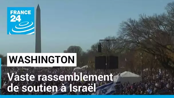 Rassemblement à Washington en soutien à Israël • FRANCE 24