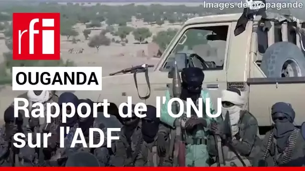 Comment le groupe État islamique finance les rebelles ougandais des ADF ? • RFI