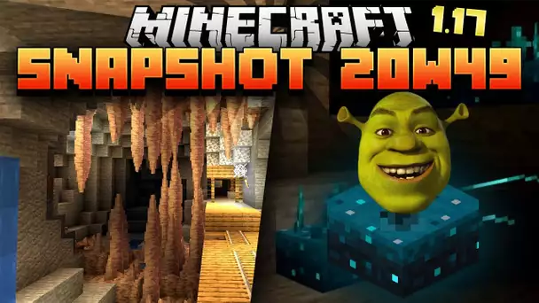 Minecraft 1.17 - Snapshot 20w49 - Shrek Sensor & Cavernes avec stalagtites