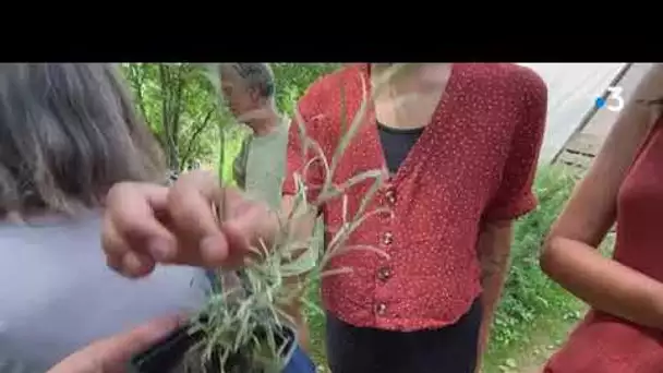 Aveyron : les Journées Nationales de l’Agriculture chez un producteur de plantes médicinales