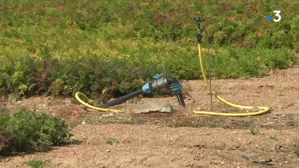 Bassin de la Logne : le marais breton en "alerte renforcée sécheresse" malgré l'été pluvieux