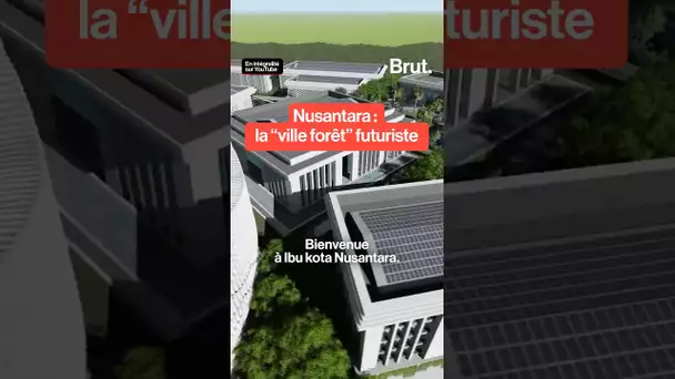Nusantara : la "ville forêt" futuriste