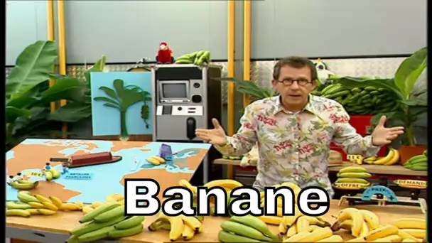 Comment le prix de la banane est-il fixé ? - C'est Pas Sorcier