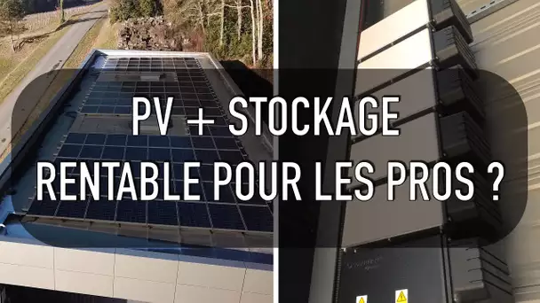 Des panneaux solaires avec batteries de stockagerentables pour les professionnels
