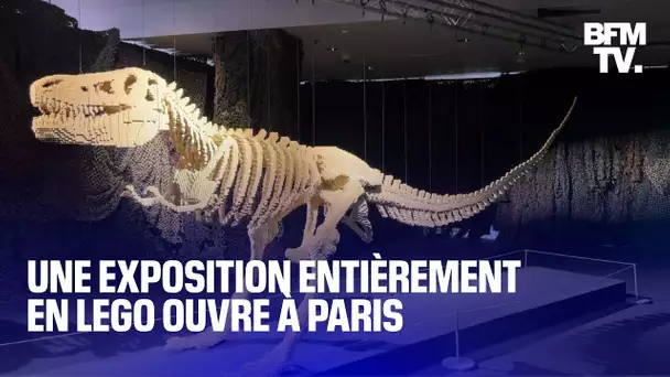Un dinosaure de 80.000 briques, "La Nuit étoilée": une exposition entièrement en Lego ouvre à Paris
