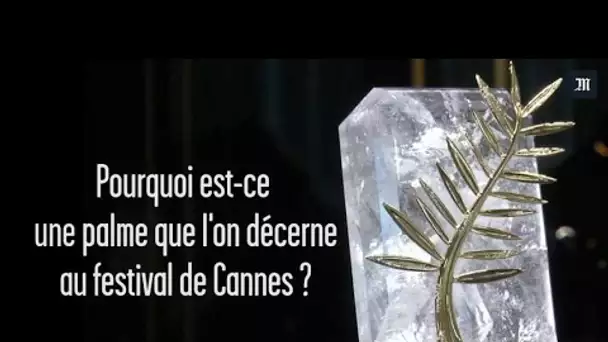 Pourquoi est-ce une palme que l'on décerne au festival de Cannes ?