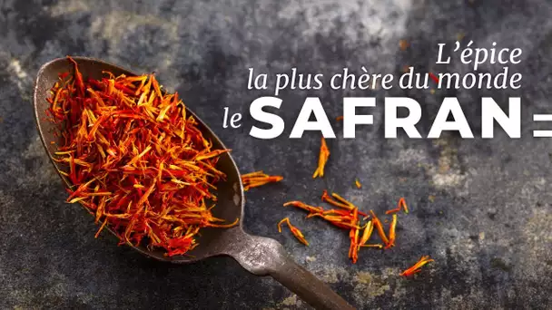 Le Safran : l'épice la plus convoitée du monde