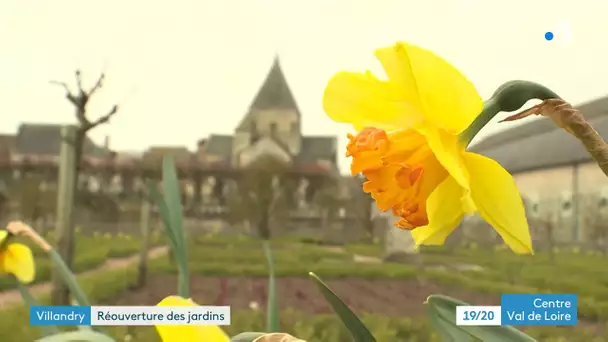 Villandry : les jardins du château vont ré-ouvrir leurs portes début avril