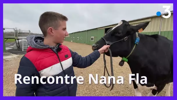 Rencontre avec Nana Fla, une vache prête à défiler au Salon International de l'Agriculture