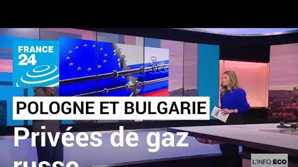 La Pologne et la Bulgarie privées de gaz russe • FRANCE 24