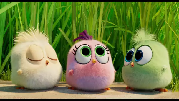 Angry Birds : Copains comme Cochons - TV Spot " Team Work" - VF