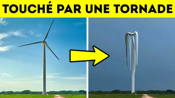 10 Fois où la Nature s’est Montrée Plus Effrayante qu’un Film d’Horreur