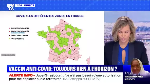 Vaccin anti-Covid: toujours rien à l'horizon? - BFMTV répond à vos questions