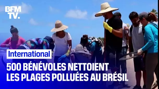 Brésil: au moins 500 bénévoles nettoient les plages polluées aux hydrocarbures