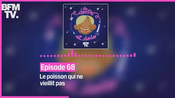 Episode 68 : Le poisson qui ne vieillit pas - Les dents et dodo