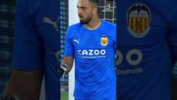 Mamardashvili Airplane ✈️ 🎼 #shorts #laligasantander #valenciacf