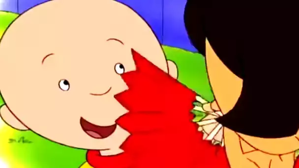 Le premier amour de Caillou | Caillou en Français