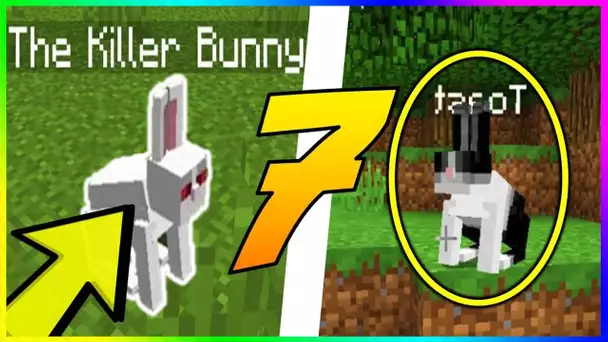 LE SAVAIS TU ? 7 SECRETS SUR LES LAPINS MINECRAFT