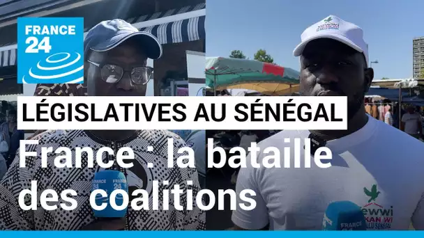 Législatives au Sénégal : en France, la bataille des coalitions pour les votes de la diaspora