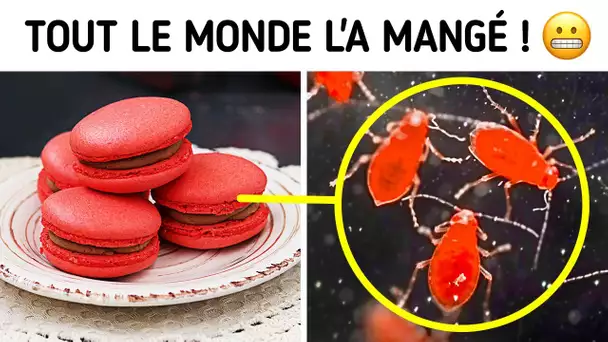 Les vies secrètes des choses ordinaires : Ce que vous avez manqué