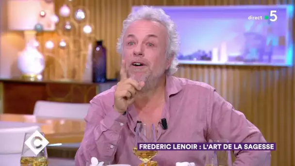 Frédéric Lenoir : l’art de la sagesse - C à Vous – 18/12/2019