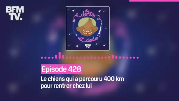 Les dents et dodo - Episode 428: le chien qui a parcouru 400 km pour rentrer chez lui