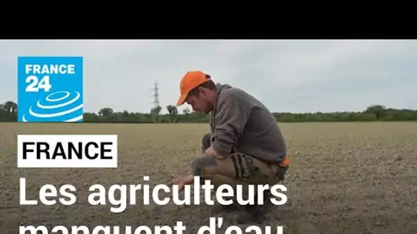 En France, les agriculteurs sont inquiets face au manque d'eau • FRANCE 24