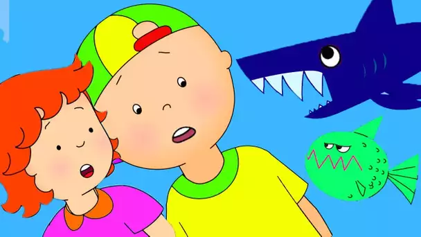 Caillou en Français | Caillou et le Requin | dessin animé | dessin animé pour bébé