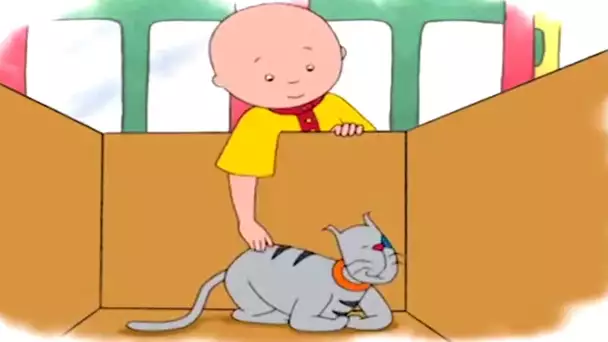 Caillou et le Chat dans la Boîte | Caillou en Français