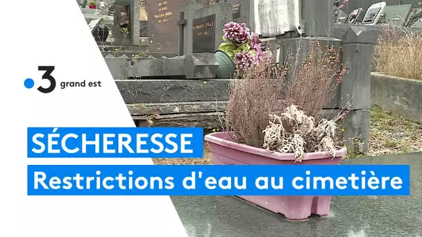 Cimetières : restrictions et coupures d'eau dans les Ardennes