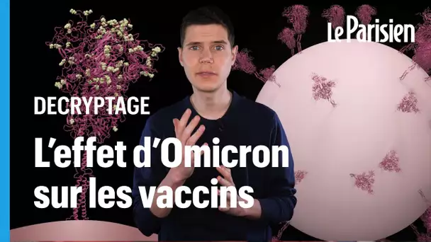 Pourquoi le variant Omicron réduit-il l’efficacité des vaccins ?