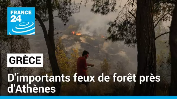 D'importants feux de forêt près d'Athènes, des habitants et touristes évacués • FRANCE 24