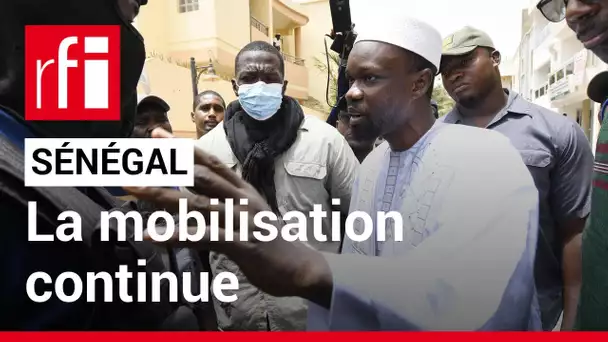 Sénégal : l'opposition appelle à poursuivre la mobilisation, la majorité condamne • RFI