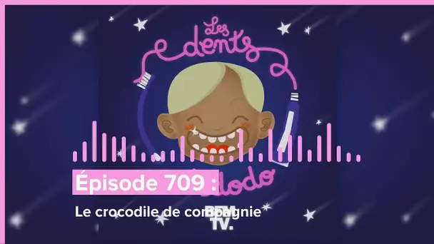 Les dents et dodo - “Épisode 709 : Le crocodile de compagnie”