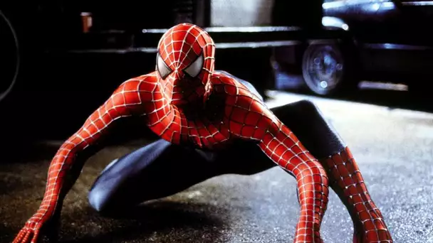 Spider-Man : les fans se mobilisent pour un quatrième film avec Tobey Maguire