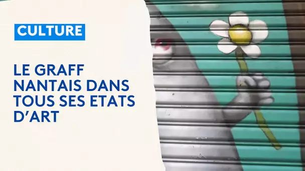 Le graff nantais, dans tous ses états d'art