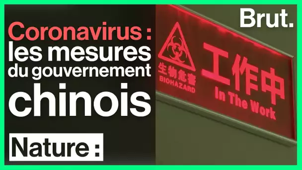 Coronavirus : une transmission par les animaux