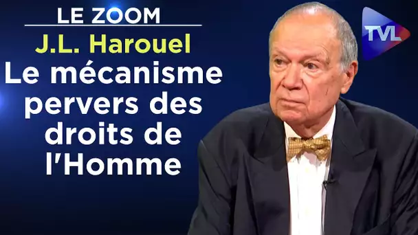 Le mécanisme pervers des droits de l'Homme - Le Zoom - Jean-Louis Harouel - TVL