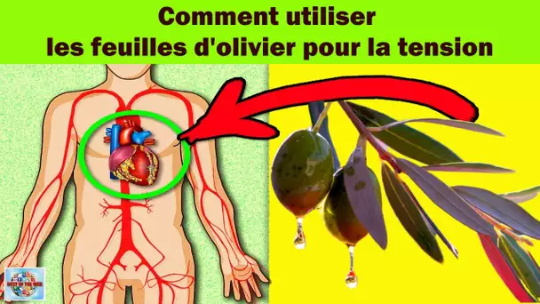 Comment utiliser les feuilles d'olivier pour la tension