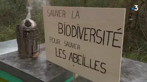 Besançon : les apiculteurs du Doubs mobilisés contre le retour des néonicotinoïdes