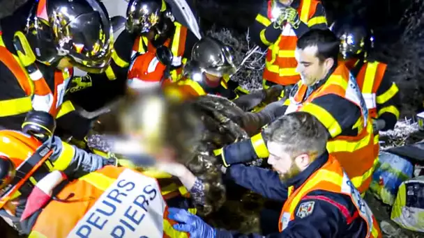 Incendies, accidents : les pompiers de Belfort sur tous les fronts