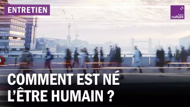 Comment s'est construit le genre humain ?