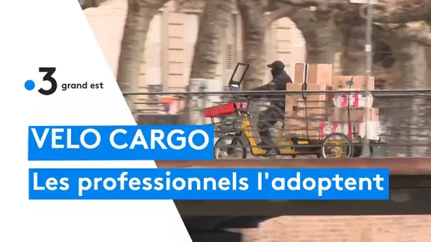 Mobilité : vélo cargo vs. camionnette pour les artisans
