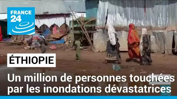 Éthiopie : les inondations touchent plus d'un million de personnes • FRANCE 24