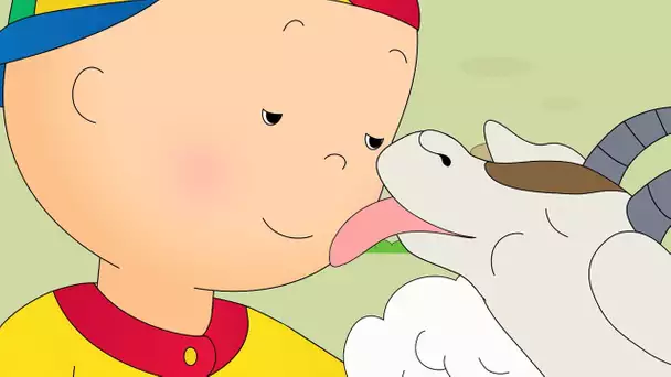 Caillou et le Zoo pour Enfants | Caillou en Français