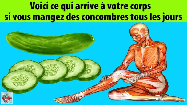 Voici ce qui arrive à votre corps si vous mangez des concombres tous les jours