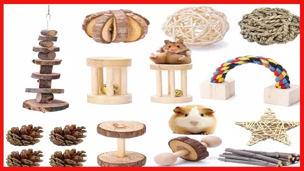 VCZONE 15Pcs Guinea Pig Toys Chinchilla Hamster Toys, Bunny Chew Toys Rat Gerbil Molar Wooden Pine