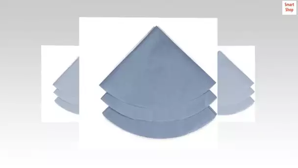 Shop-Vac 9010733 Reusable Dry Filters with Mounting Ring, Fits Shop-Vac Model No. 90585 Foam Sleeve