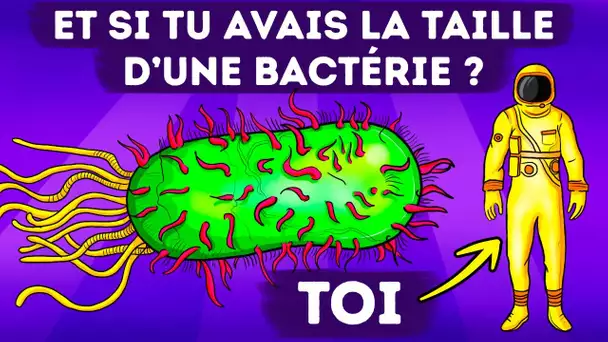 Et si tu rétrécissais soudainement à la taille d’une bactérie ?